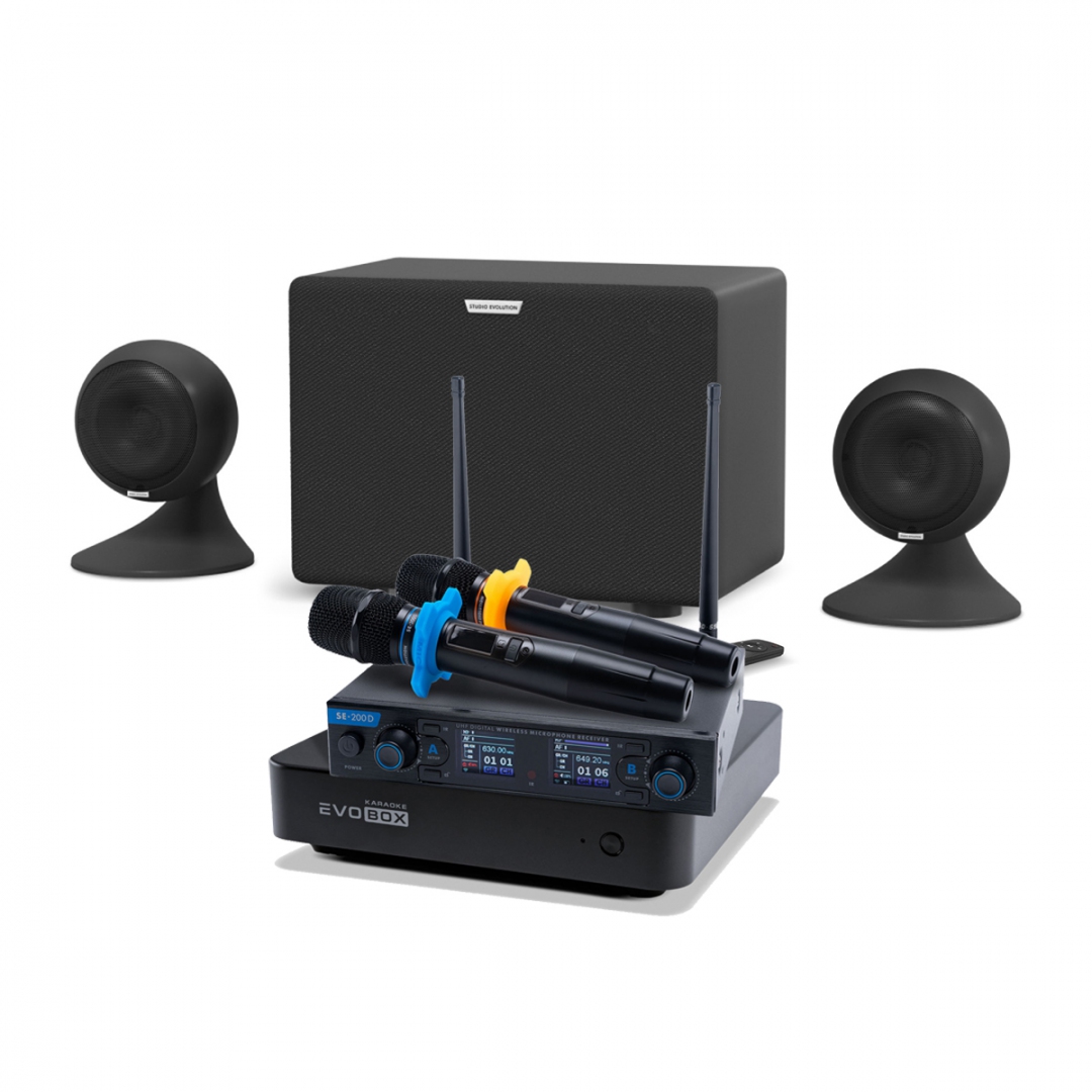 караоке-комплект EVOBOX + EvoSound Sphere 2.1 в Приморском крае