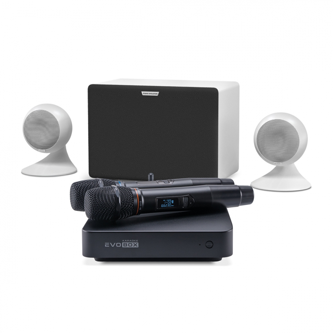 караоке-комплект EVOBOX Classic + EvoSound Sphere 2.1 в Приморском крае