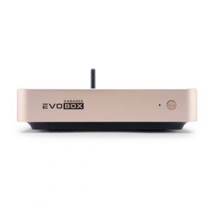 EVOBOX Plus караоке-система для дома в Приморском крае