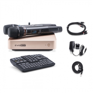 EVOBOX Plus караоке-система для дома в Приморском крае