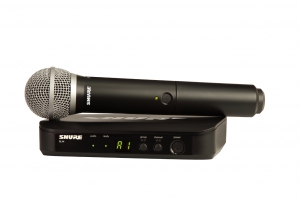 SHURE BLX24E/PG58 M17 вокальная радиосистема в Приморском крае